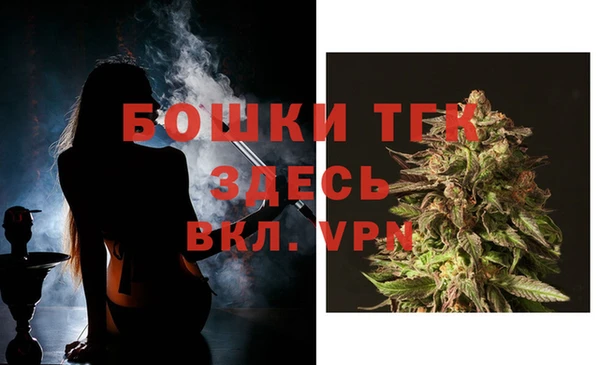 винт Гусь-Хрустальный