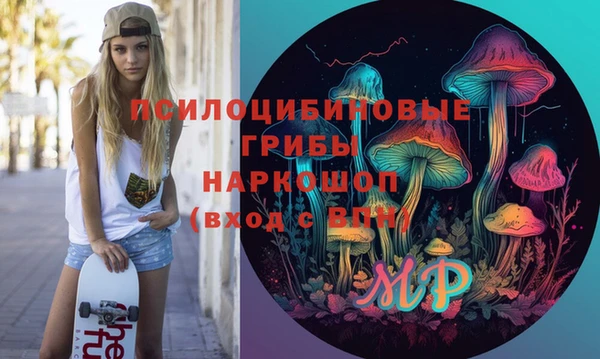 гашик Наволоки