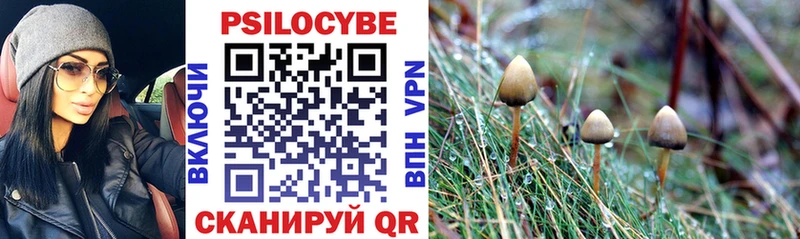 Псилоцибиновые грибы MAGIC MUSHROOMS  Тырныауз 